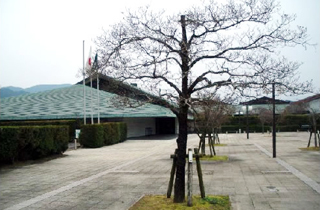 佐賀県立九州陶磁文化館 外観