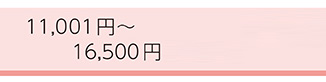 ~16500円