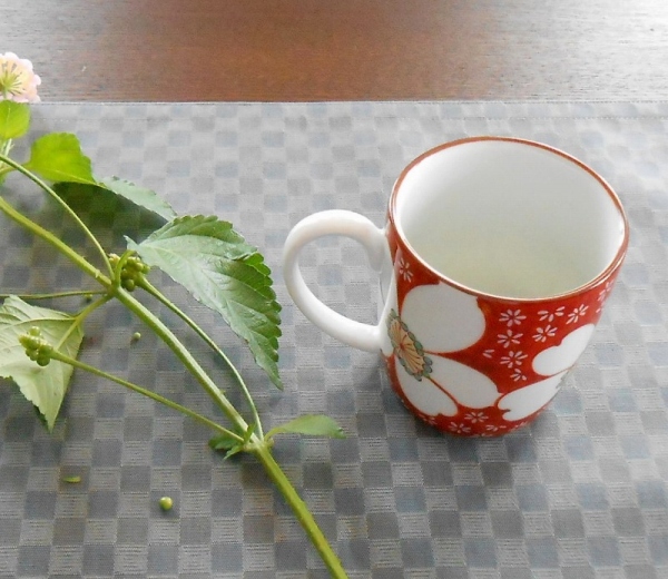 山茶花）マグカップ«マグカップ|有田焼の老舗 香蘭社