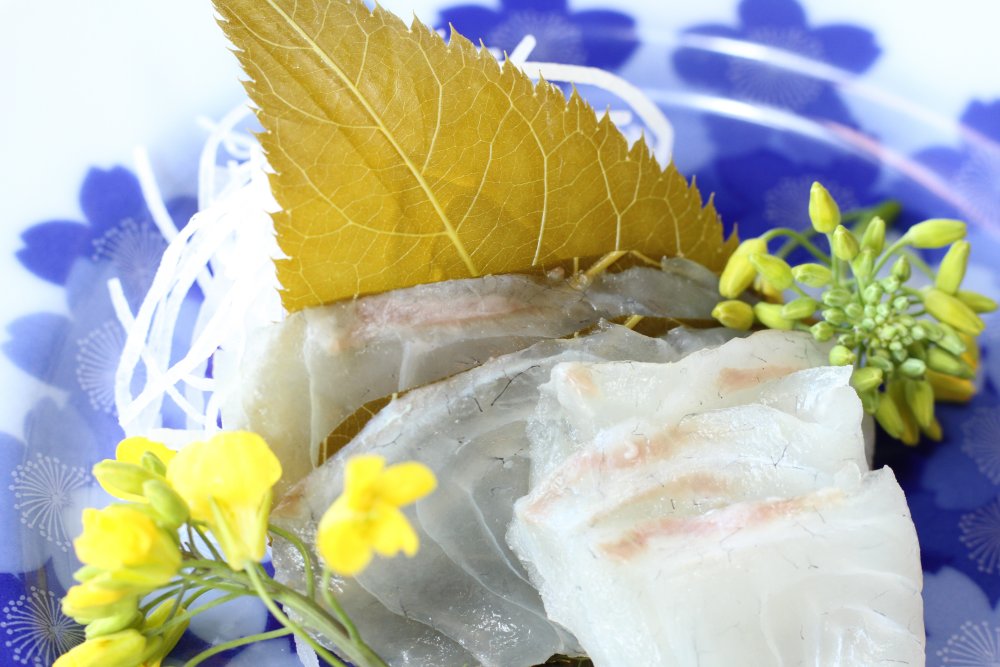 春を纏う、鯛の桜葉〆の作り方